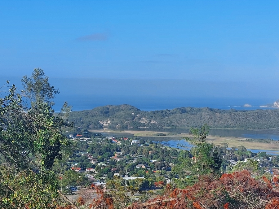 0 Bedroom Property for Sale in Sedgefield Rural Western Cape